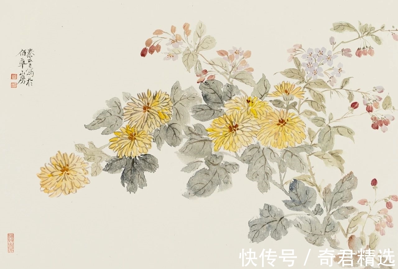 花卉$「津门网」用没骨法绘制花卉，这极其考验画家对笔墨色彩的把控