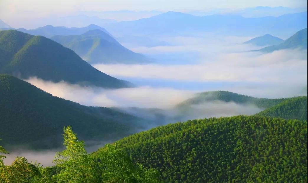 横山国家森林公园|赏广德之秋，怎能“山山”来迟？