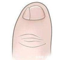 老百姓|看看自己的小脚趾,也许我们都是明朝大槐树移民的后代