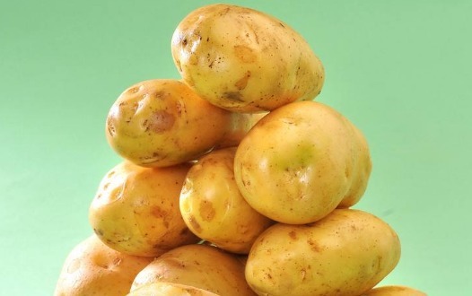 土豆太容易发芽，不用愁箱子里撒一把，存放一年也不发芽