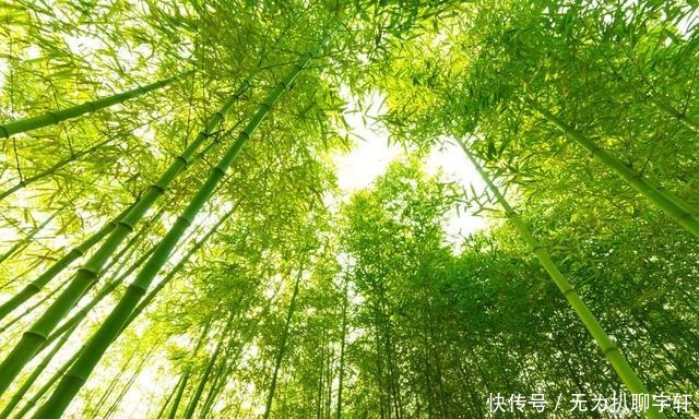 影响力|为何说隋炀帝杨广的五言律诗,具有很高的文学成就和文学影响力?