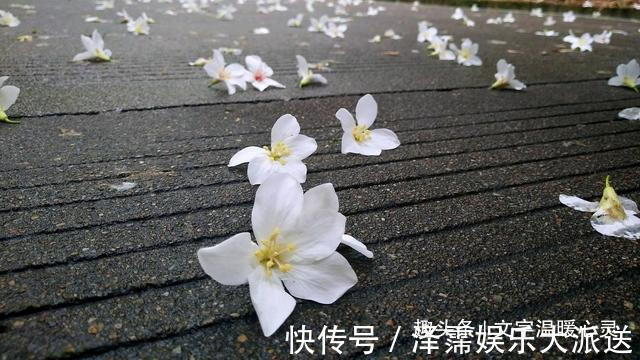 苍天不饶|人在做,天在看,因果有轮回,苍天饶过谁!(再忙都要看)