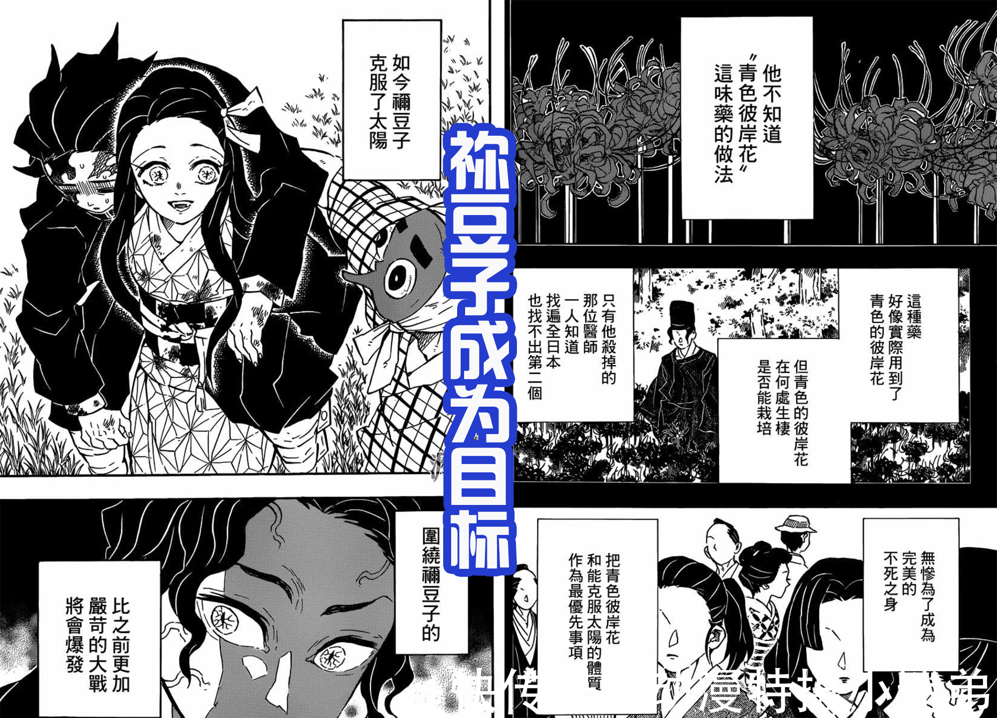 祢豆子|《鬼灭之刃》第三季中,祢豆子展示新能力,导致最终一战的爆发!