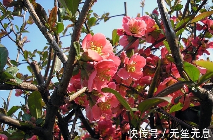 大运|2022年元旦开始喜获大运支持,事业上会不断的迎来惊喜的3大生肖