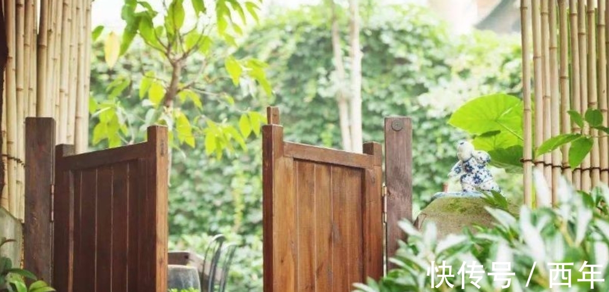 西洲|“南风知我意,吹梦到西洲”,这首绝美古诗,深情的人都应该读读