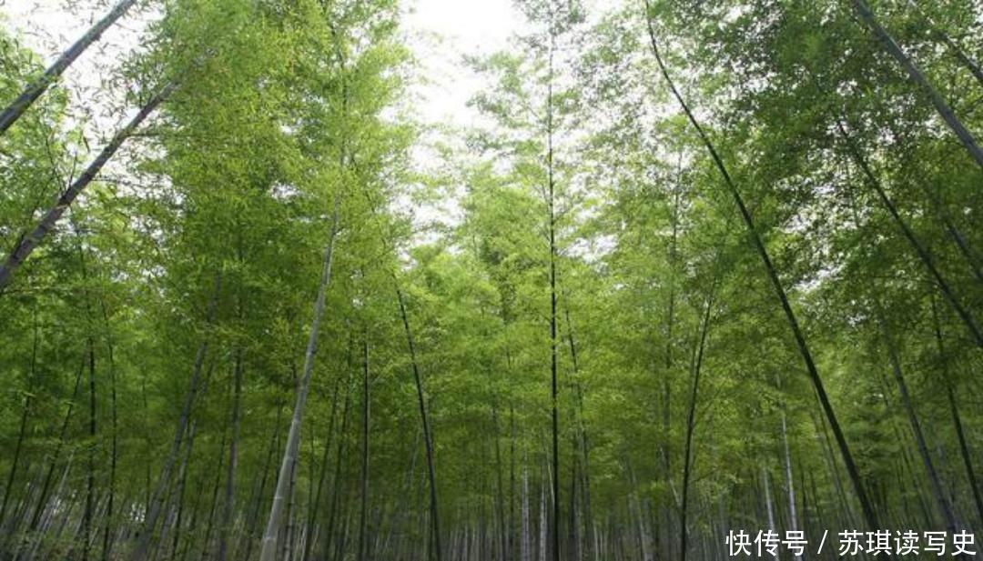 作品|范成大最美的一首六绝,每一句都如诗如画,读来让人拍案叫绝