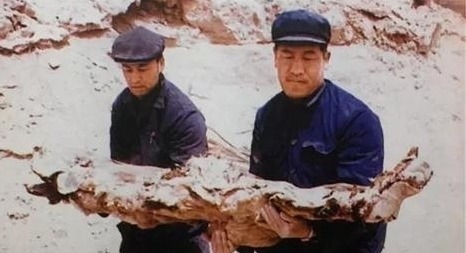 山海经$罗布泊出现大量骸骨,专家发现线索,证明山海经记载可能是真的?