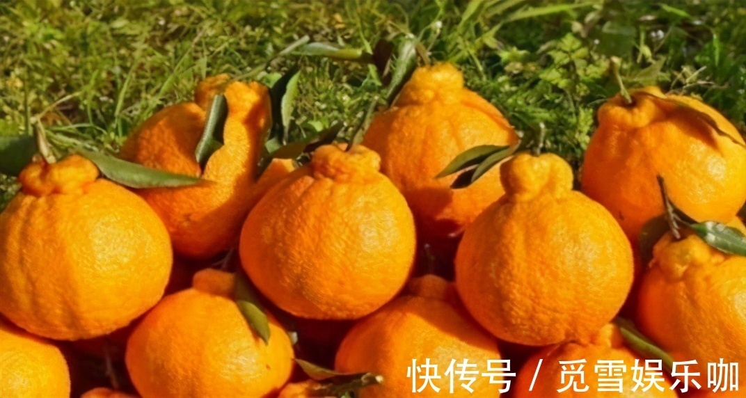 龙须菜|对身体很好的三种食物,值得天天吃一些,排毒养颜,美白护肤!