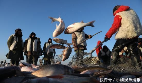 查干湖的鱼为何“越捞越多”渔民哭诉看看这些商人都干了啥