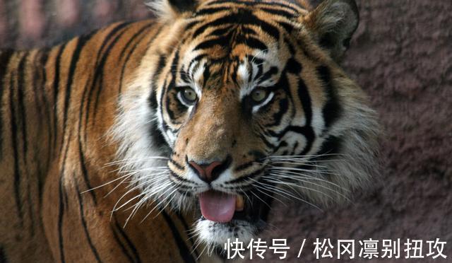 长弓奇缘&聊斋故事:长弓奇缘