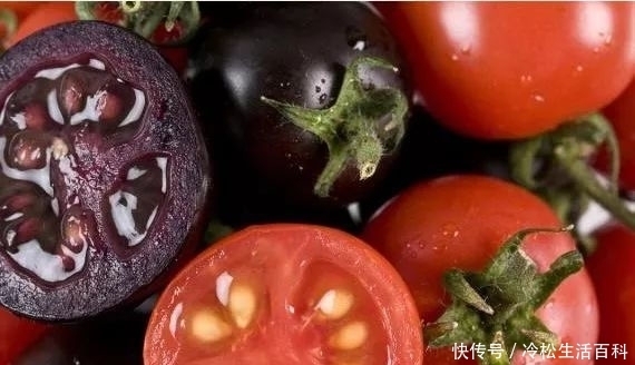 营养价值|称为西红柿里的“黑珍珠”,引进我国后被广泛种植,营养价值高