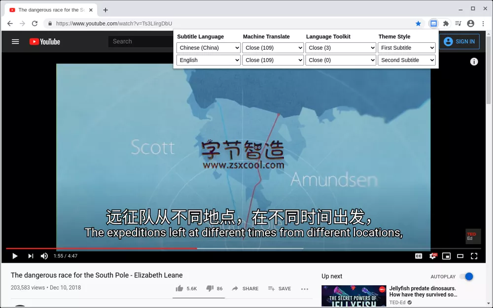 浏览器插件 Dualsub 流媒体视频通用字幕渲染器-阿呆狗