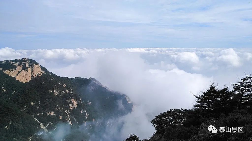 云海|云海浮波翻涌山水澹澹生烟