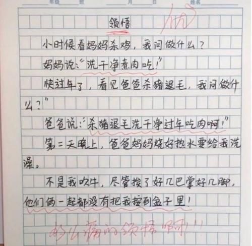 |小学生作文《我的班主任》火了,语言搞笑形容贴切,老师哭笑不得