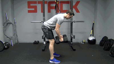 肩胛骨|如何锻炼三角肌后束?4个动作每周练2次,提升肩部肌肉立体感