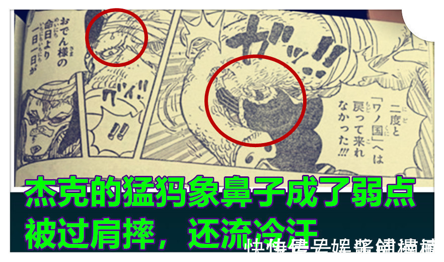 半獸人|海賊王1023話,開掛的犬嵐VS杰克半獸人形態,杰克被狠揍并流冷汗