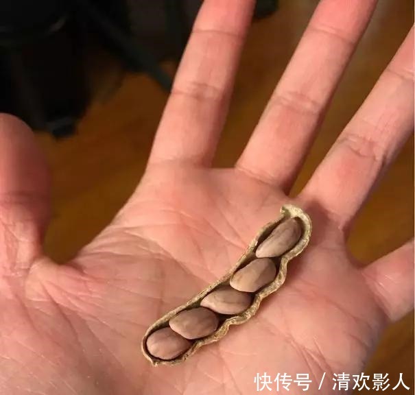 吃牡蛎吃出珍珠!专属于吃货的幸运时刻!