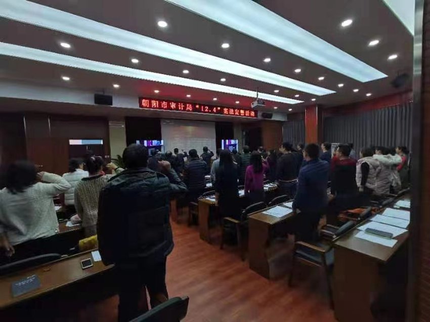  宣誓|市审计局组织宪法宣誓