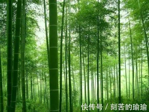 寇准$古人智慧15个机智又有趣对联故事！