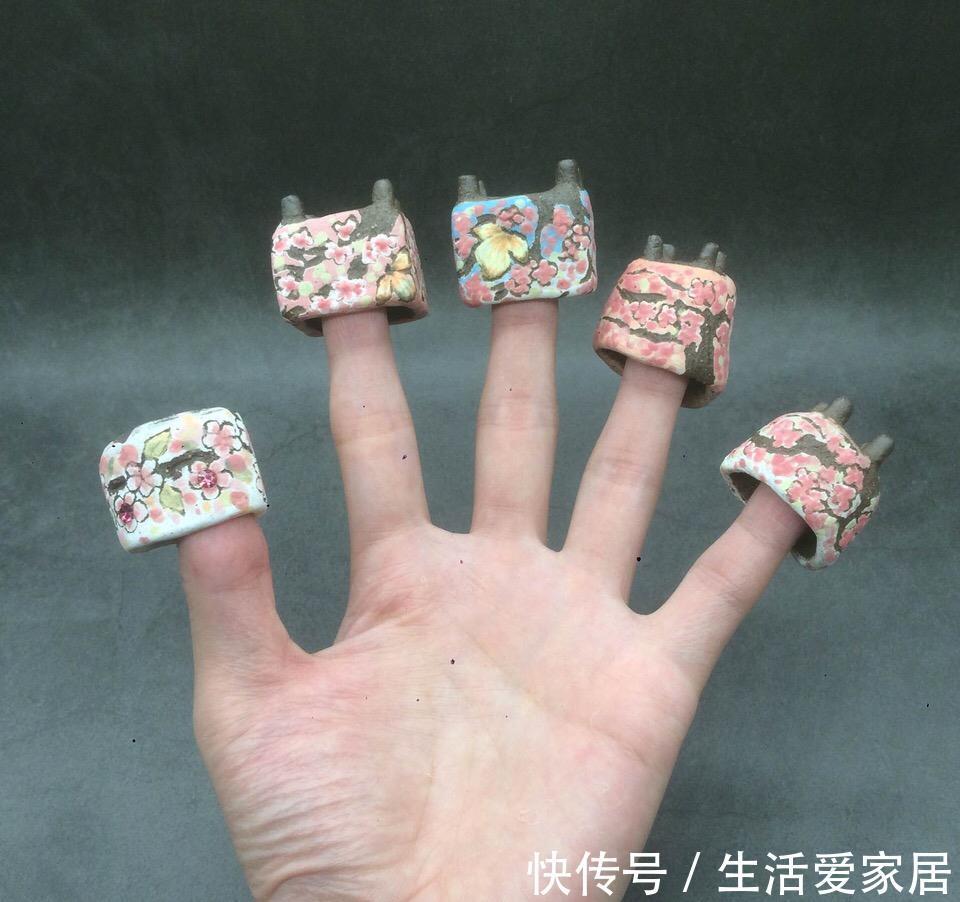 能把拇指多肉养活养好,那你离大神就不远了