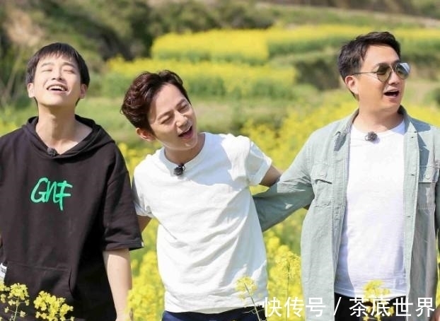 海报|《中餐厅5》海报站位有点意思,姚安娜站最后一排,展露真实咖位