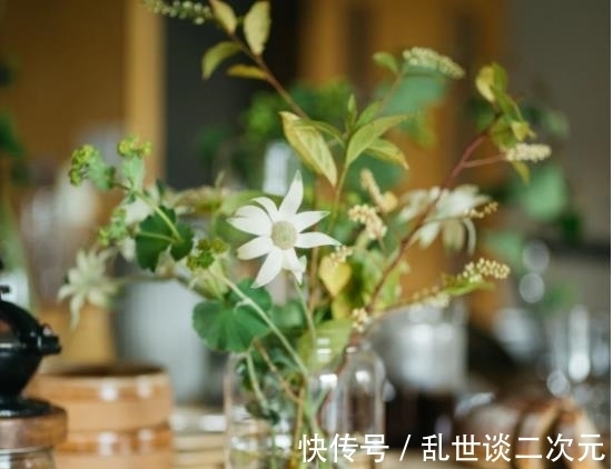 家居|日本太太的温暖家居，简单的一束花，整洁的收纳，呈现生活之美