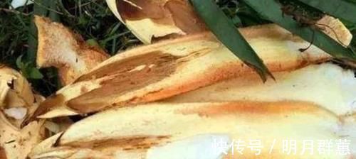 无糖食品|女性到了中年,常吃3种食物,美容护肤,排毒清肠,越吃越年轻