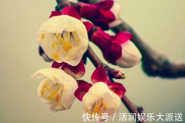 福气|无论有钱还是没钱,这三种人命最好,越老越有福气!