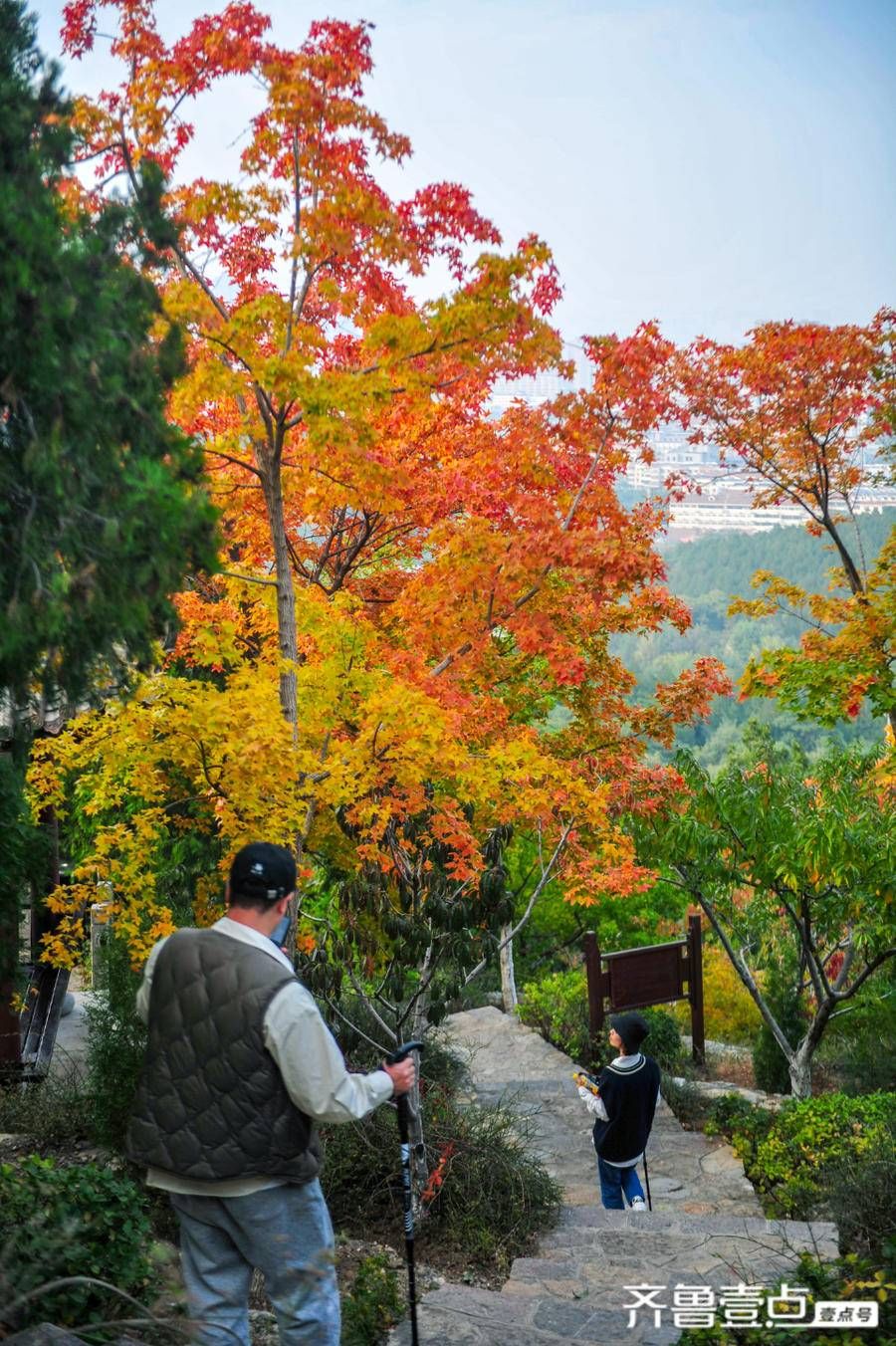 观赏处|佛慧山上秋意浓，五彩枫叶醉金秋