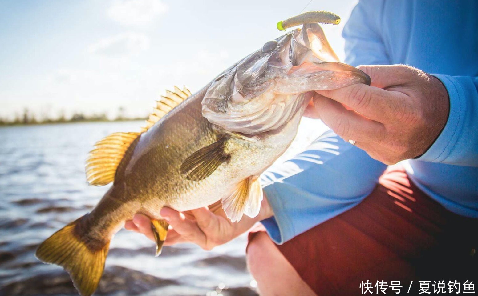 英文|路亚钓超精细钓组-内德钓组介绍-Ned jig