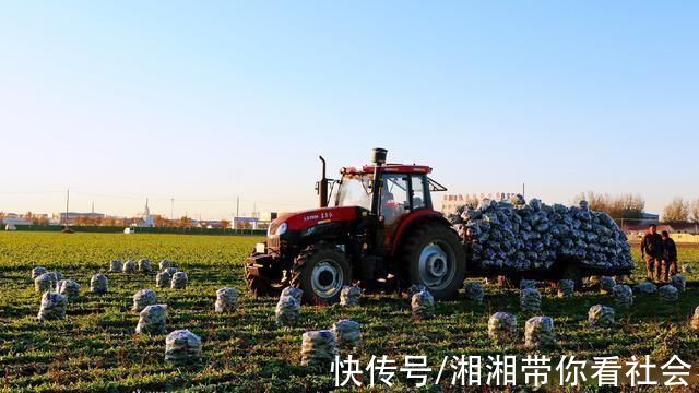 农货|柑橘橙、草莓、车厘子、枸杞原浆、阿胶糕片……“全民真香节”全面启动