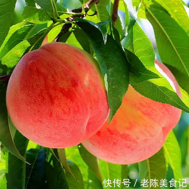 手把手|吃不完的水果怎么保鲜,能保鲜多长时间,手把手教你水果保存方法