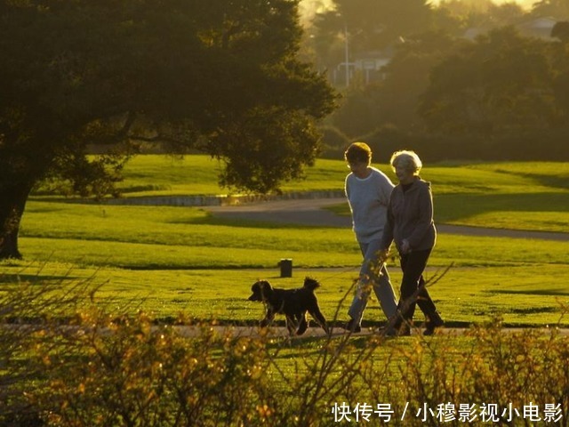 医生|多走路可以降血脂?心血管医生:过了50岁,做好3件事或更有效
