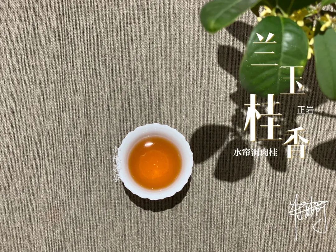 学术讨论|武夷岩茶还魂汤的学术讨论,专家不喝,茶客必留,这是为什么呢