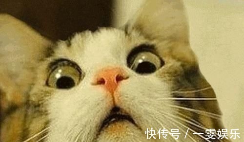 洗衣凝珠|看着像“果冻”,其实是“毒药”在家别让孩子碰这东西