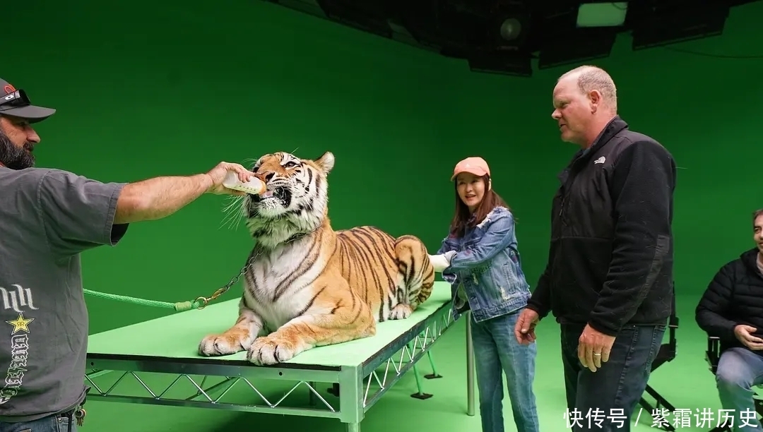 喜剧片|马丽和宋佳能摩擦出什么火花,这部4.0分的喜剧把观众都看尴尬了