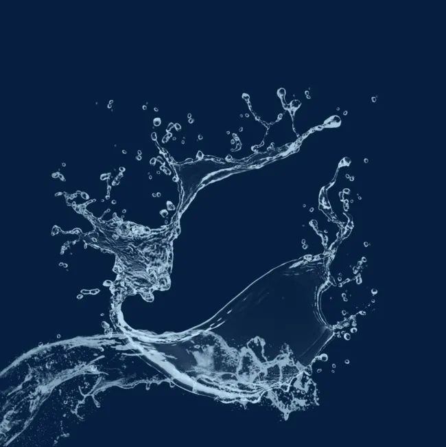 脾胃|一个健脾除湿的经典方剂，2味药，补脾益气和胃，身心都舒畅！