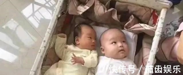 奶粉|母乳放大1000倍是什么样在显微镜下竟然是活的