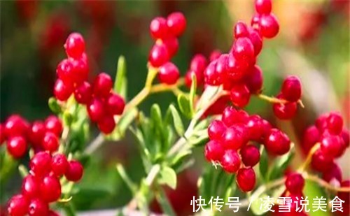 清肠排毒|秋天养生,适合吃的4种食物,养血补肾,清肠排毒,滋补身体