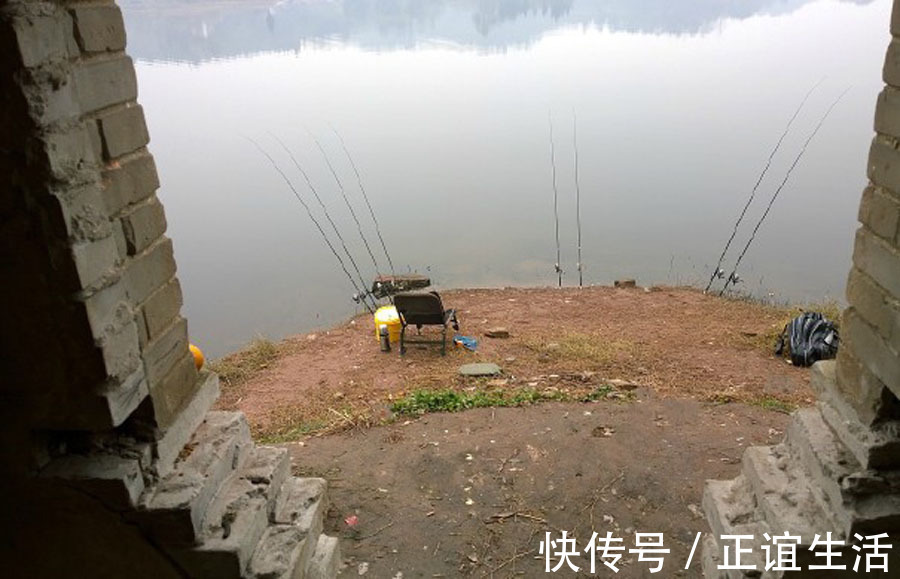 感悟|本以为钓鱼是虚度光阴,却让我感悟了不少人生