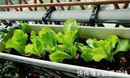 虫子|如何让孩子远离手机,这几乎是唯一的方式