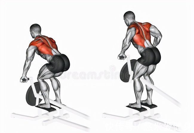 倒三角|背部肌肉的训练方法，3个部位8个动作，帮你打造完美倒三角身材