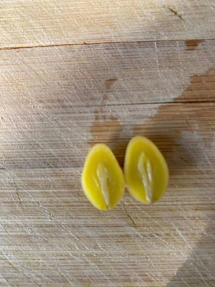 青未了|荒芜中照见的美好