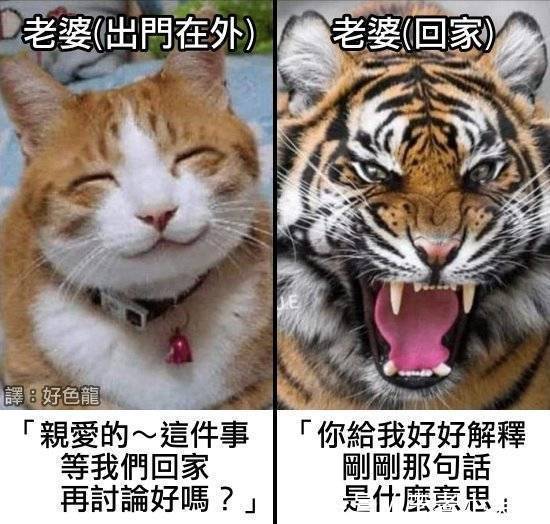 |【被窝段子】因为梦想 所以选择远方;因为无所依靠 所以必须坚强