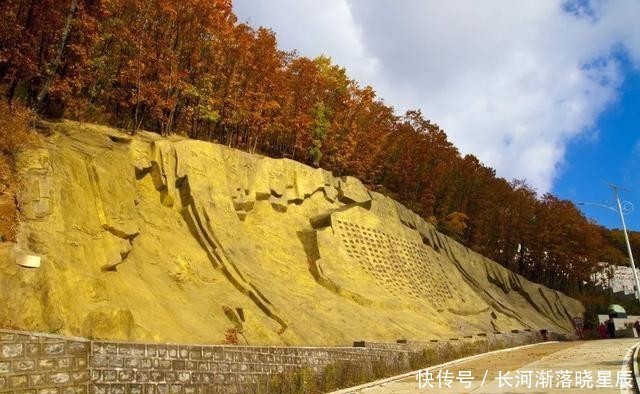 未有|「细雨生寒未有霜」初冬暖阳，岁月沉香