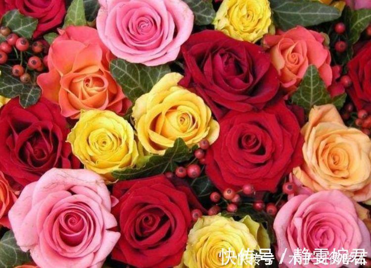 九里香|4种花是“开花大户”,家里养一盆,芳香四溢,年年长势旺