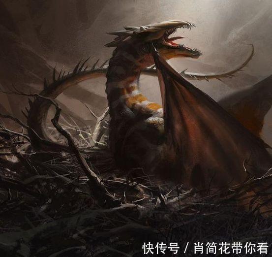 蓝银|斗罗大陆:五种最稀有的领域力量