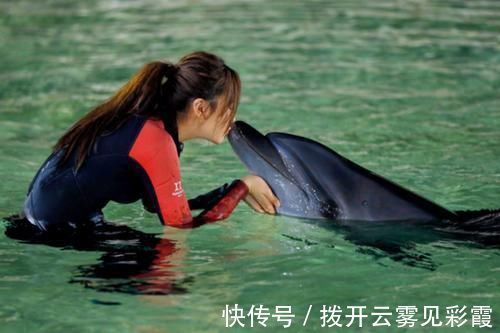 動(dòng)植物|節(jié)目組又秀智商采摘捕撈國家保護(hù)的動(dòng)植物，遭到專家瘋狂怒懟