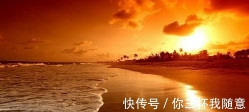 狮子|2月这4大星座，将旧情复燃，与旧爱情深似海，与前任重获甜蜜