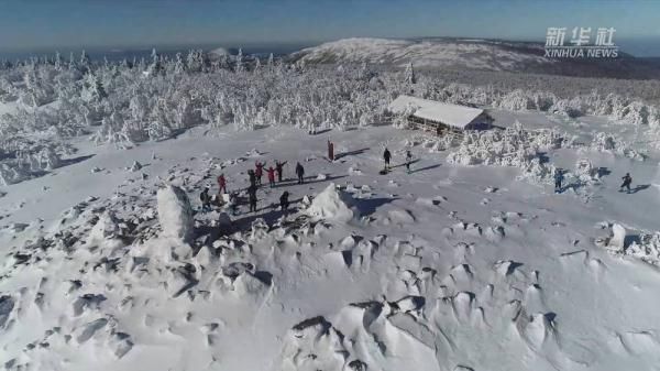 凤凰山国家森林公园|豪气！东北的雪 漫山遍野